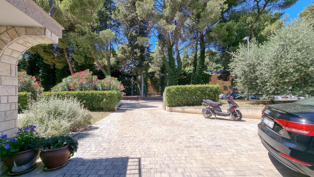 Ena Daire Novigrad Istria Dış mekan fotoğraf